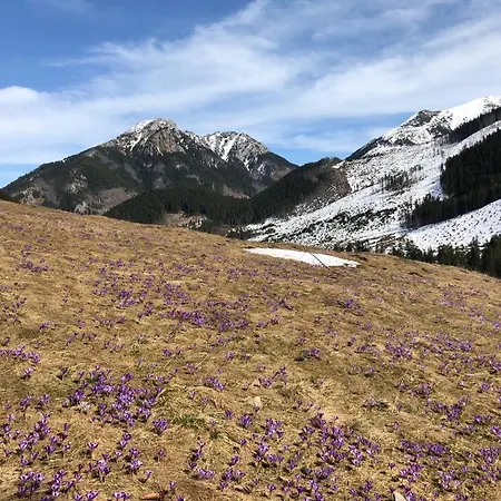 Agroturismo Pod Jalowcem *
