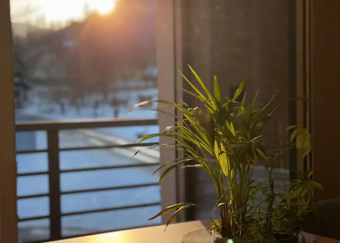 Pod Jałowcem Gospodarstwo agroturystyczne