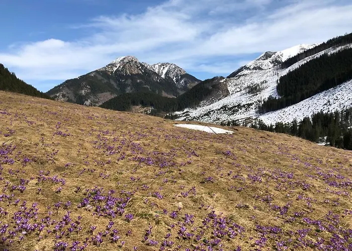 Gospodarstwo agroturystyczne Pod Jałowcem *